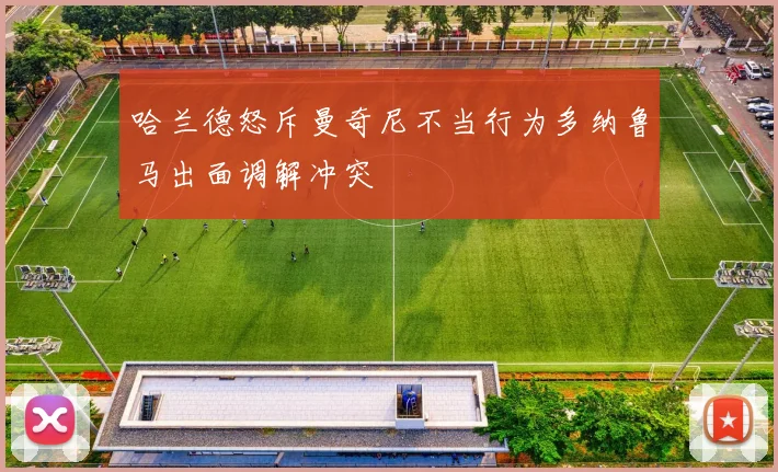 哈兰德怒斥曼奇尼不当行为多纳鲁马出面调解冲突
